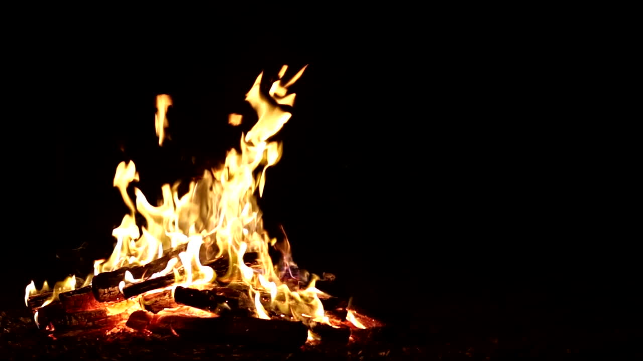 Yellow flames of big campfire bonfire licking dark night sky, slow motion