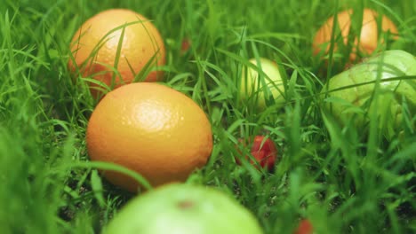 close-up of oranges on a grassy field