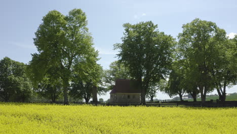 Toma-De-Un-Dron-De-Cerca-De-Una-Pequeña-Casa-Solitaria-Rodeada-De-árboles-Y-Campos-De-Cultivo-Con-Flores-Amarillas-De-Colza-De-Canola-En-Suecia