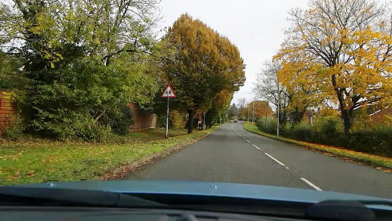 Driving along a tree lined road in autumn POV