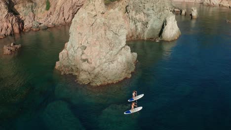 fit women floating on paddle board in sea