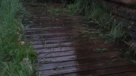 raindrops are falling on the wooden flooring near the country house. heavy rain in the village. rain season.