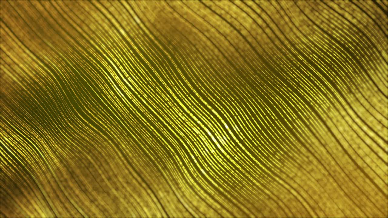 Abstract golden waves curves ripple on yellow background as 3D template video animation loop