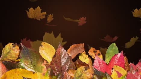 Animation-of-autumn-leaves-falling-over-brown-background