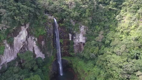 waterfall in deep nature of south of brazil