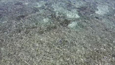 Aerial-view-of-a-shallow-reef-with-crystal-water-in-Fiji