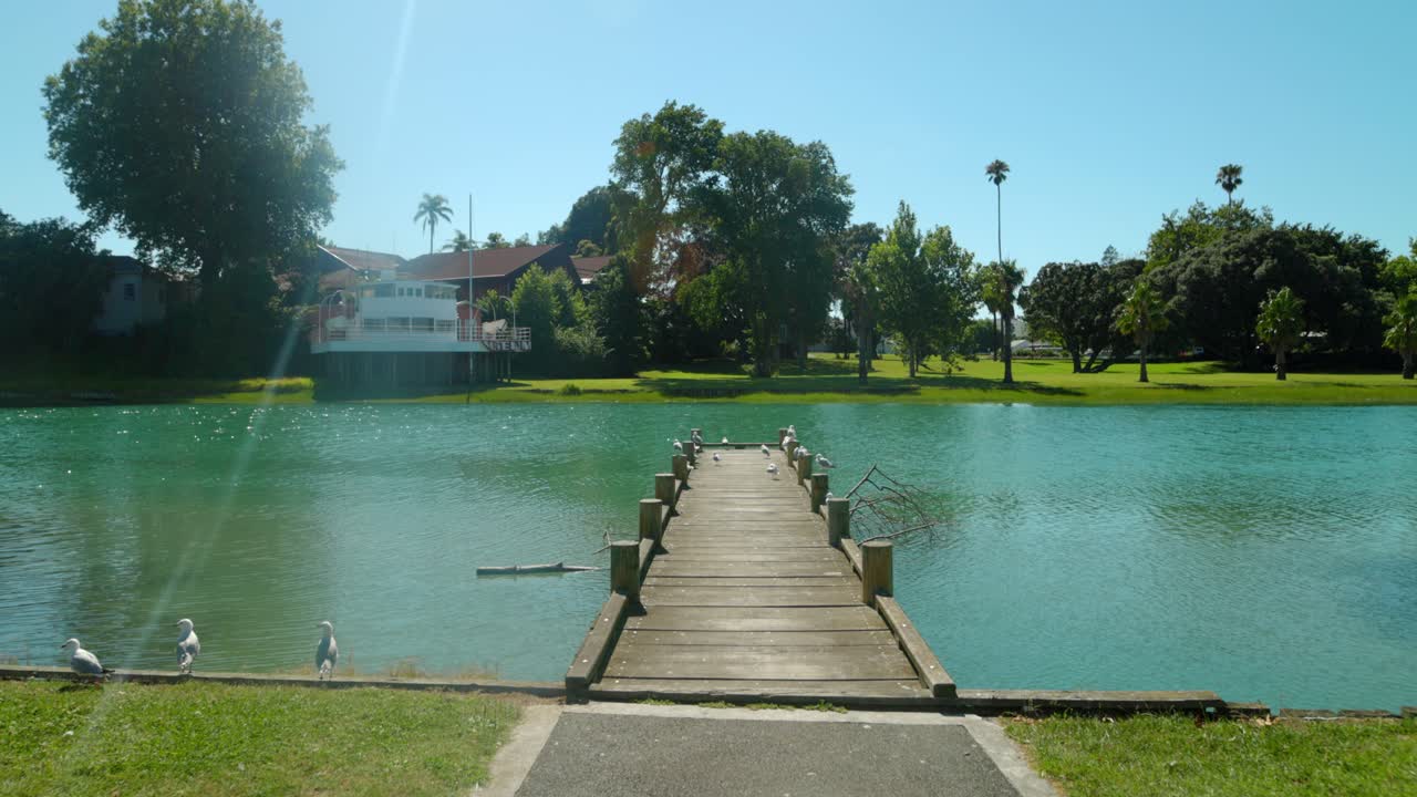 일부 갈매기를 포함하여 부두에 앞으로 걸어가는 짐벌 샷