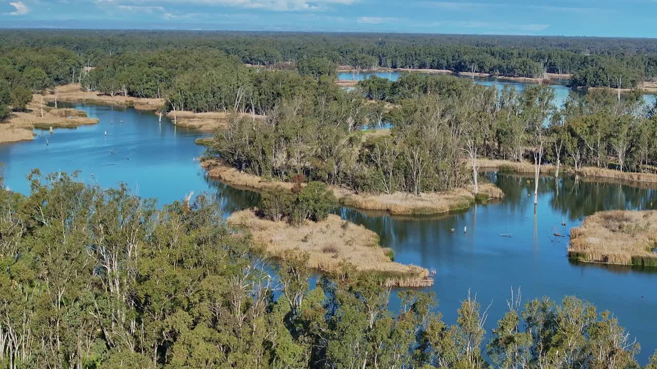 sobre las islas arborizadas en el lago mulwala cerca de mulwala nsw australia
