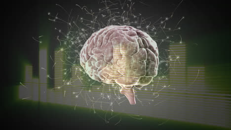 compuesto digital de un cerebro y barras digitales