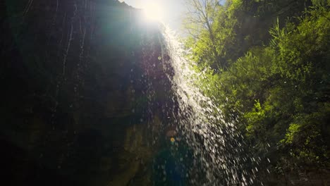 sunlight illuminating waterfall in a forest