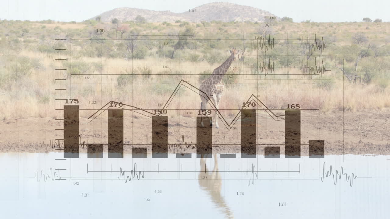 Giraffe standing at waterhole edge, water reflecting full shape and showing bar charts, line graphs