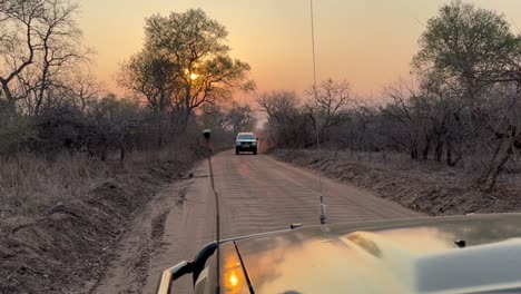 safari vehicles on the road at sunrise in the majete wildlife reserve. malawi.