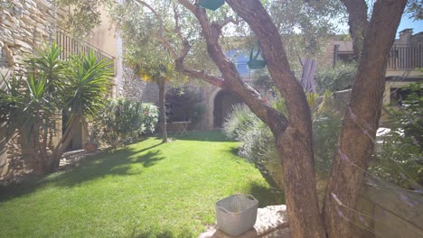 exploration shot of a stunning garden from behind some vibrant plants