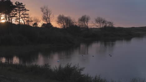 Pájaros-En-El-Lago-Al-Atardecer