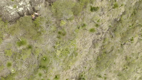 4K-drone-top-shot-of-hikers-walking-on-the-side-of-a-mountain-cliff-at-Border-Ranges-National-Park,-New-South-Wales-Australia