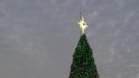 star sits high on christmas tree decorated in bright flashing lights