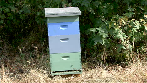 bee keepers box near a forest