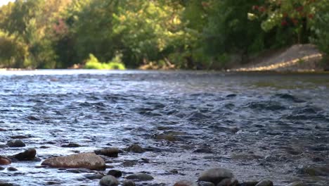 a river flowing through the forest on the boise idaho green belt low angle 20 second video.