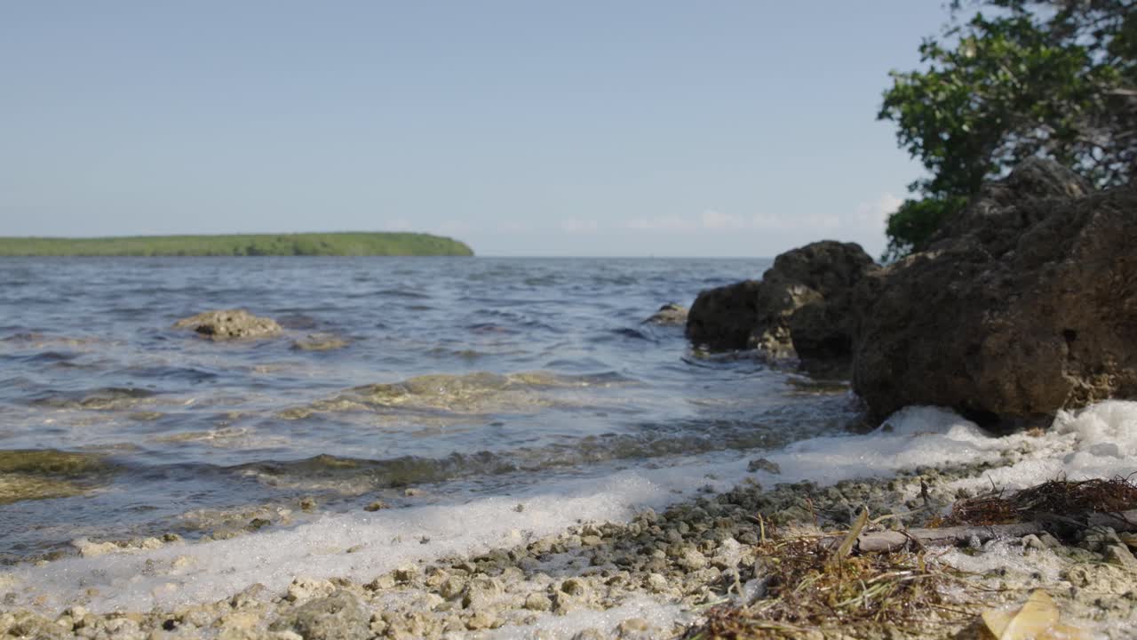 Plano panorámico de la costa en Black Point, en el sur de Florida, con agua en calma al fondo. Entorno costero natural ideal para componente visuales de viajes, naturaleza y medio ambiente.