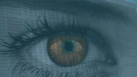 animación del ojo de ámbar de la mujer con información digital de desplazamiento rápido