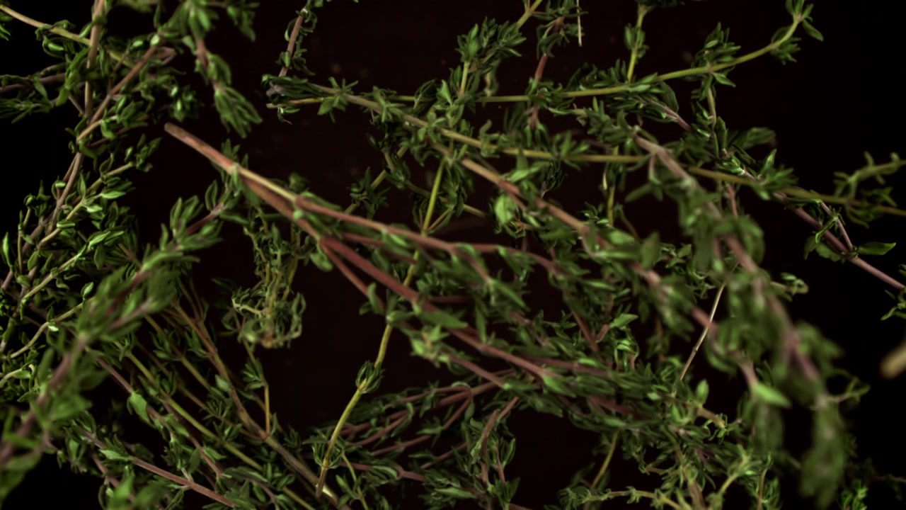 Fresh Thyme Sprigs Falling in Super Slow Motion