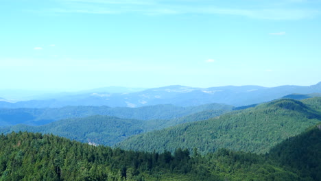 static panoramic view of black forest on sunny day