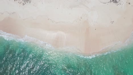 empty white sand beach and turquoise tropical sea, high angle revealing drone shot, tonga, polynesia
