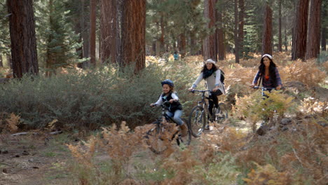 Pareja-De-Lesbianas-En-Bicicleta-En-Un-Bosque-Con-Su-Hija