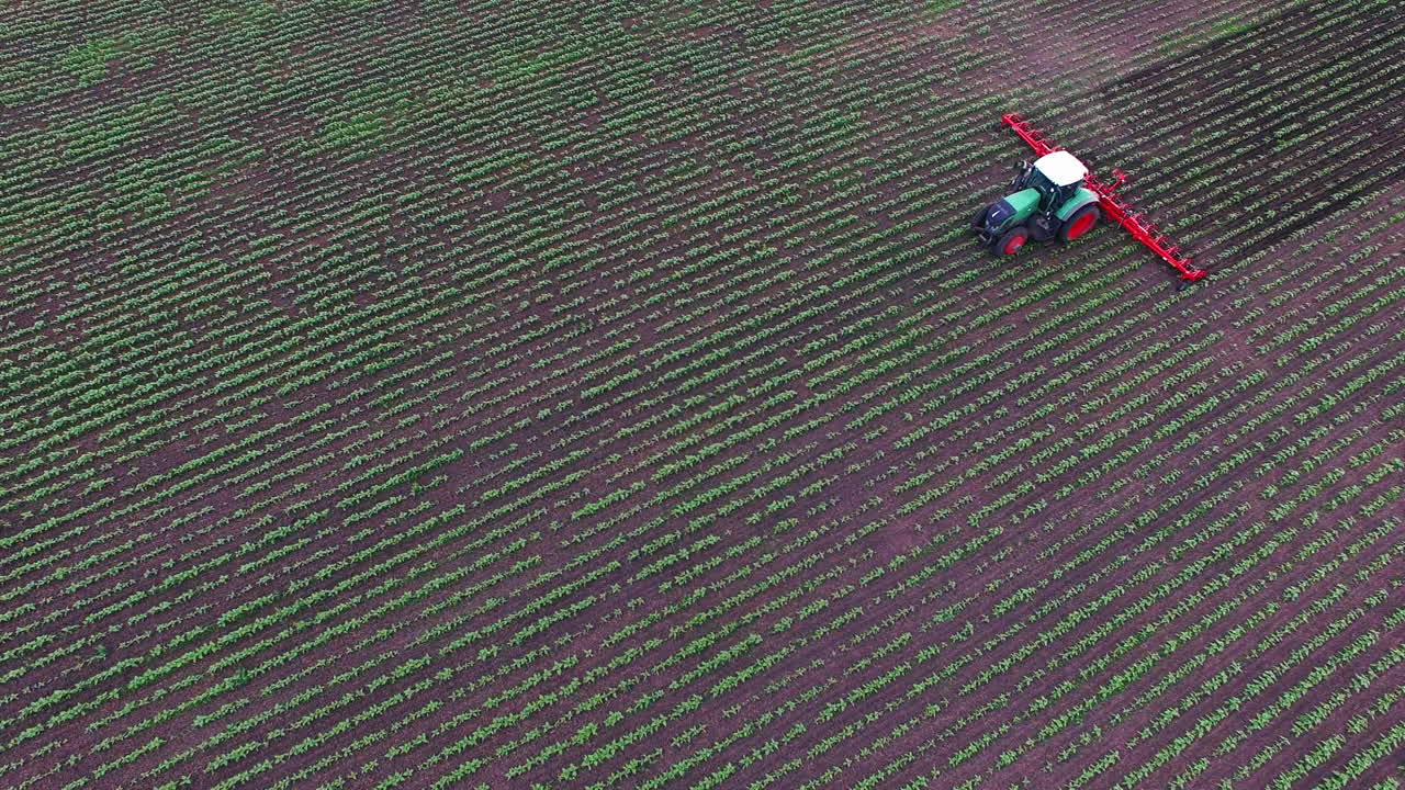 tractor tira del cultivador de campo que corta las malas hierbas