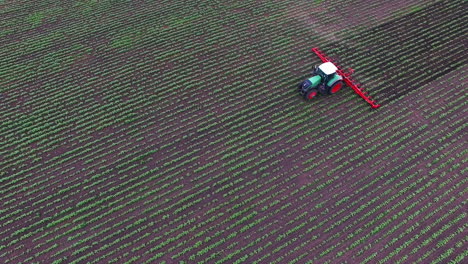 tractor pulls on the field cultivator which cuts the weeds