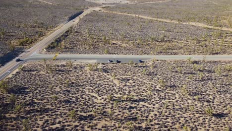 Aerial-view-over-Joshua-tree-national-park-desert-landscape