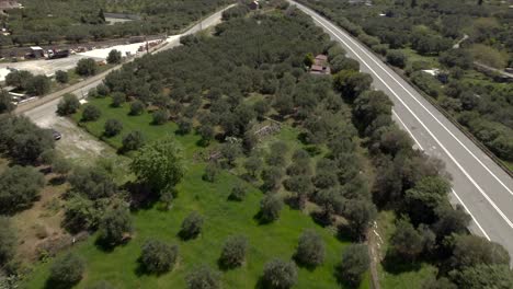 4k-drone-Olive-Trees-in-Crete,-Greece