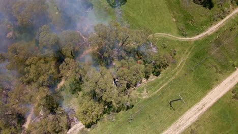 Top-down-aerial-shot-of-fire-caught-in-Crackenback-with-smoke-spreading-in-NSW,-Australia