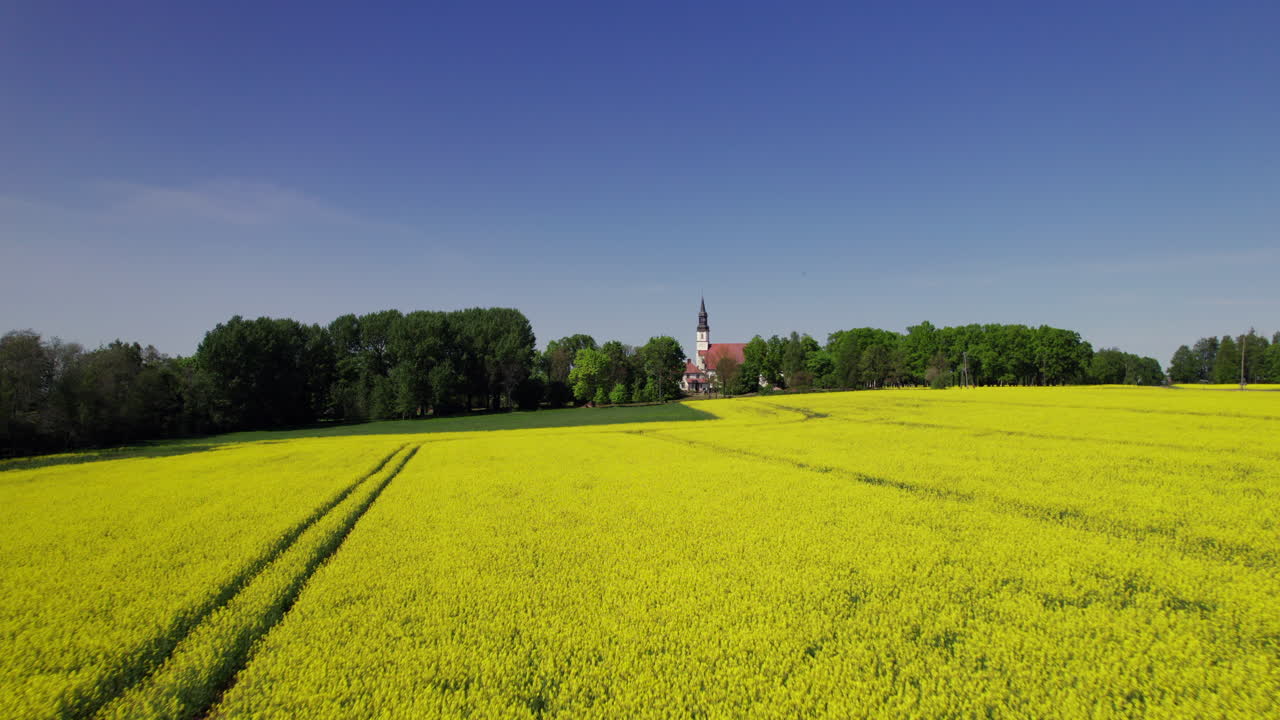 Flying towards Burtnieku Church surrounded by rapeseed fields