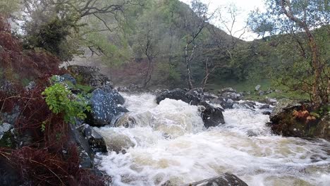 potente agua que fluye rápido a cámara lenta en el sendero del desierto del bosque de senderismo del río rocoso