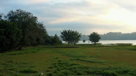 beautiful dolly-in rising shot following a small bird flying over marshes and trees revealing the man-made guarapiranga reservoir in the southern part of são paulo, brazil on a fall evening