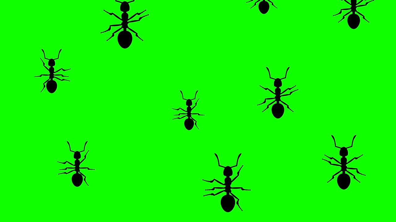 개미들이 달려오고
