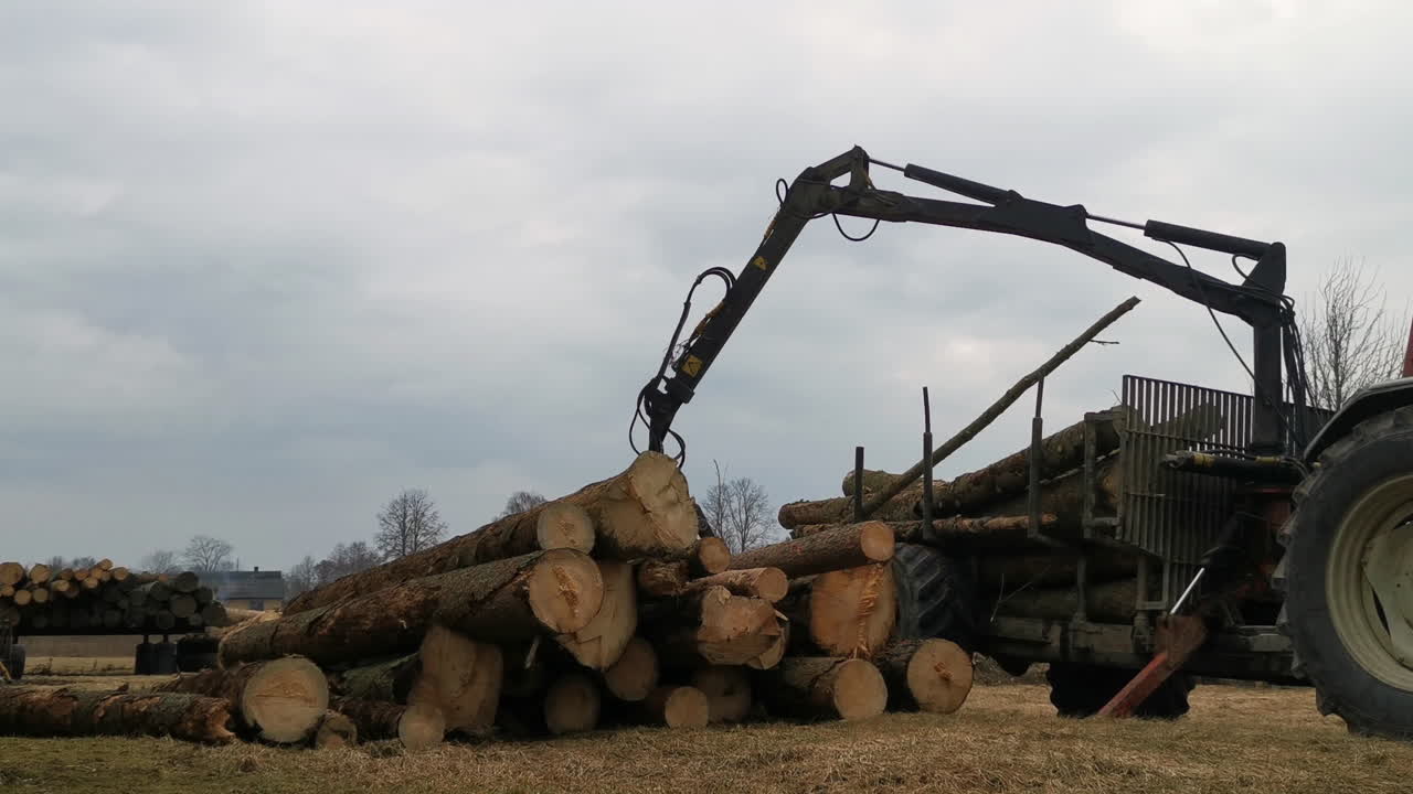 Tractor unloading logs from trailer on moody day, static view