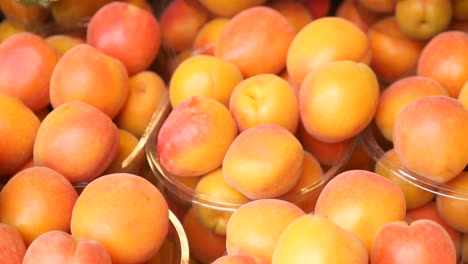 close up of fresh apricots