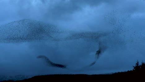 Starling-Masiva-Murmuración-Contra-Las-Nubes-Oscuras-En-El-Frío-Cielo-De-La-Tarde-En-Tarn-Sike-Reserva-Natural-Cumbria-Reino-Unido