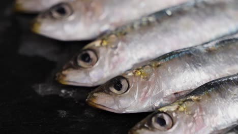 fresh sardines
