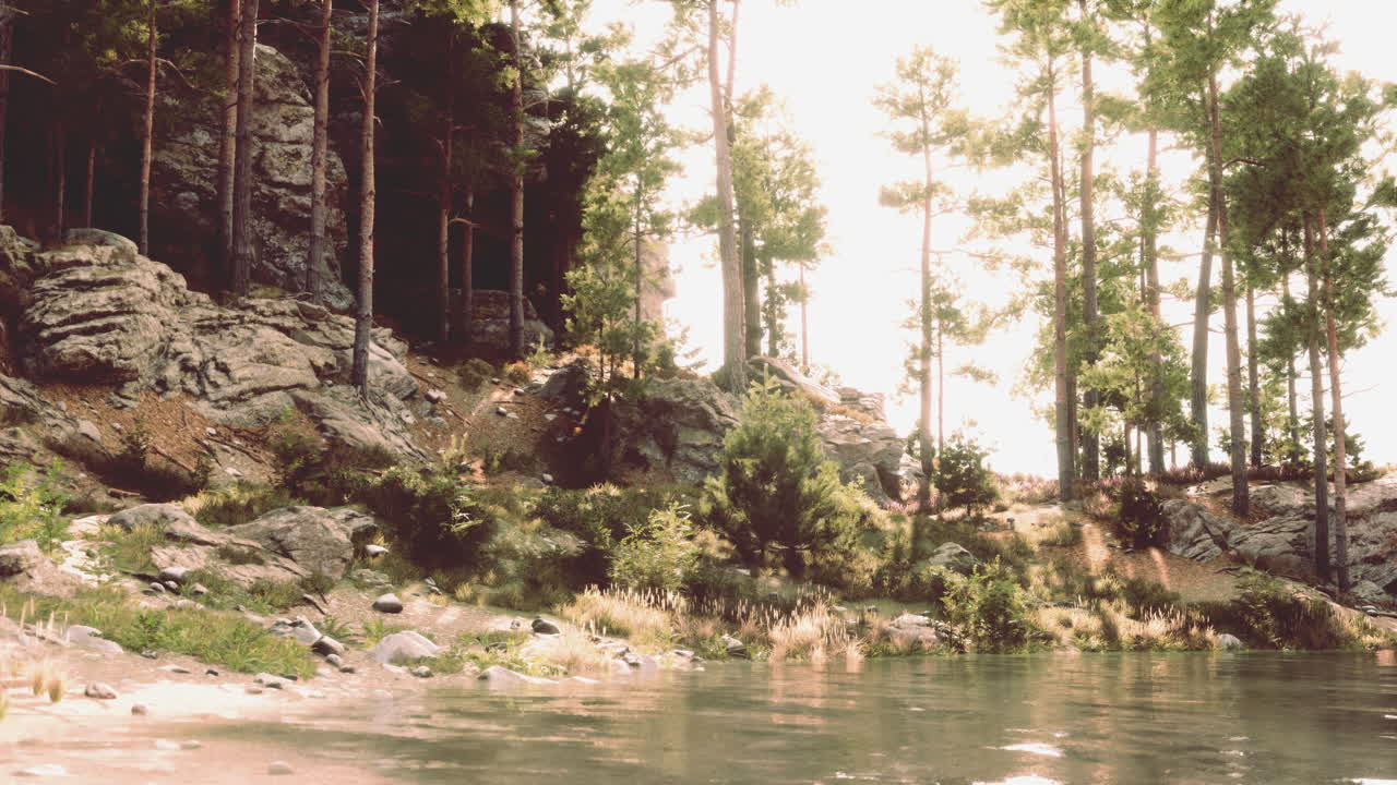 una escena tranquila en el bosque con un lago.