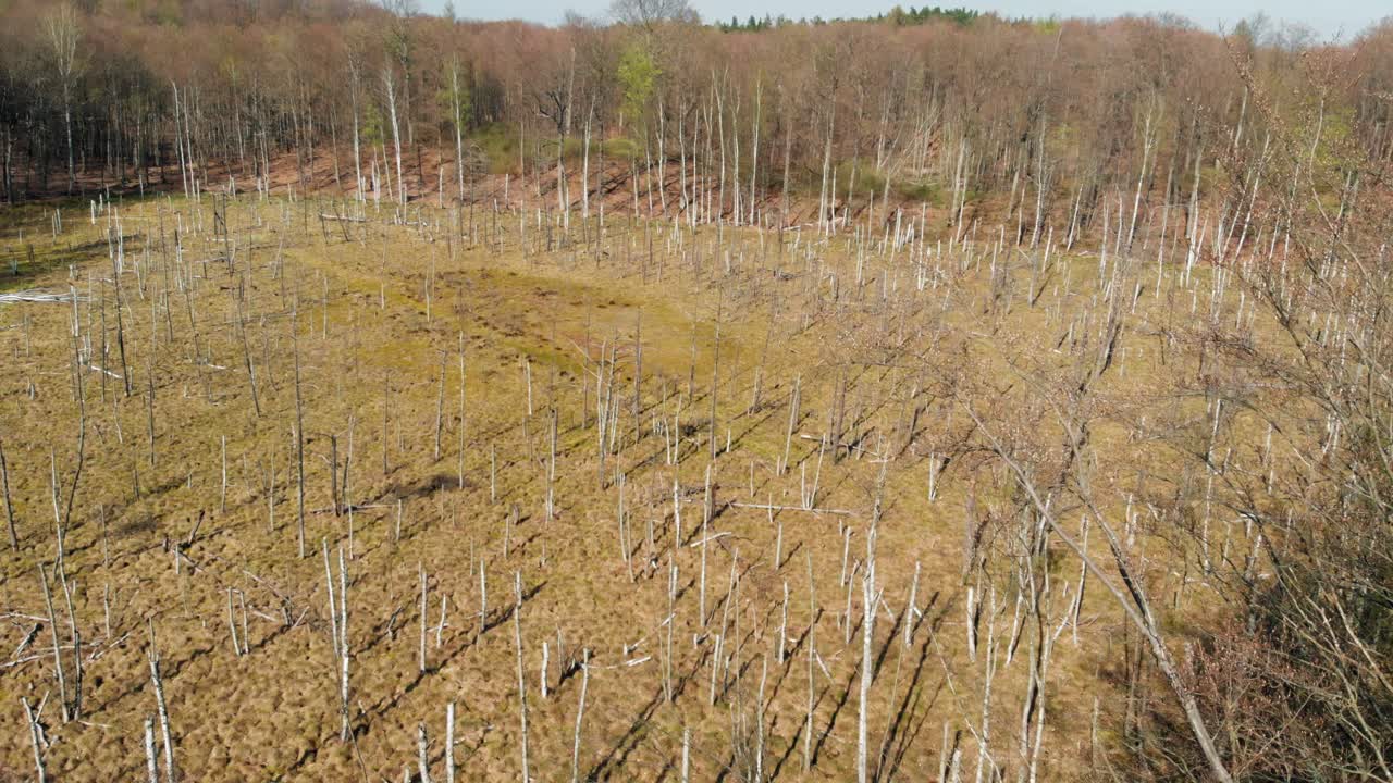 lublewo gdańskie, 폴란드의 호박 산 성역