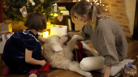 Mother-and-daughter-stroking-and-playing-with-golden-retriever-on-the-floor