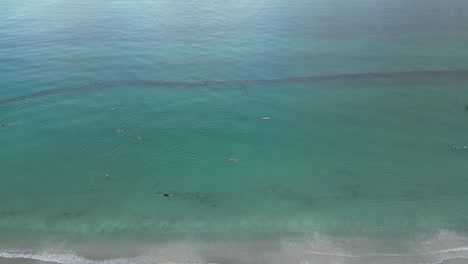 Swimmers-swimming-inside-shark-protective-area-at-Coogee-Beach,-Perth-City-in-Western-Australia