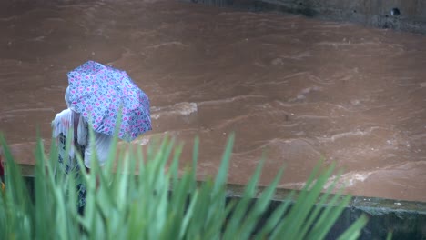 Pareja-Bajo-Un-Paraguas-Mirando-El-Río