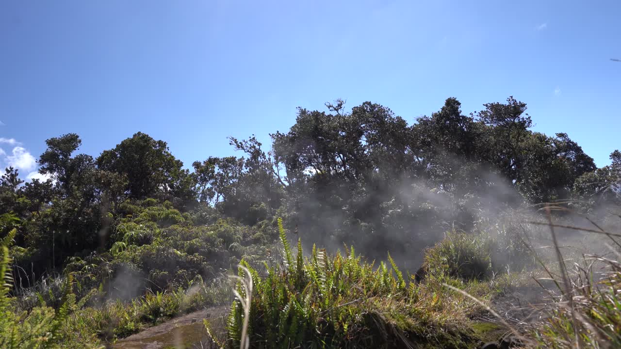 Volcanoes National Park, Hawaii (USA). Hot volcanic rocks from beneath the earth evaporating ground water to the surface as white steam. 4K close-up stock footage. Natural environment