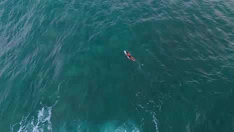 a peaceful and cinematic shot of a surfer paddling out into the ocean during sunset in weligama, sri lanka.