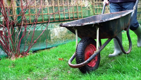 man pushing a wheelbarrow