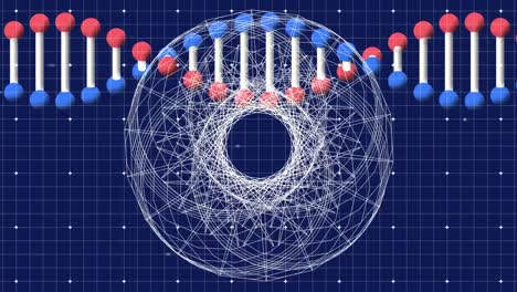 Animation-Der-DNA-Strangspinnen-Mit-Datenverarbeitung-Und-Netzwerk-Von-Verbindungen